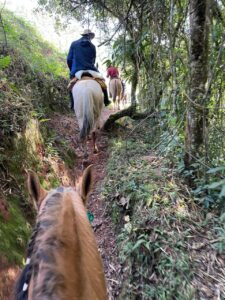 Créditos: Participantes da Cavalgada